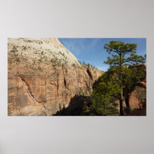 Trail to Angels Landing in Zion National Park Poster