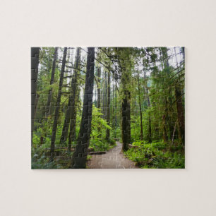 Trail to Marymere Falls II Jigsaw Puzzle