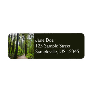 Trail to Marymere Falls II Return Address Label