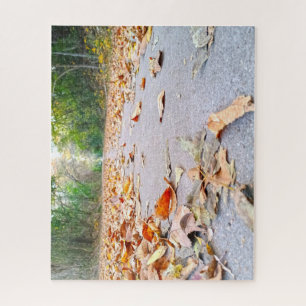 Trail Walk Jigsaw Puzzle