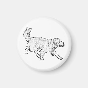 Trailbound Motion Magnet