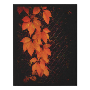 Trailing Autumn Leaves    Faux Canvas Print