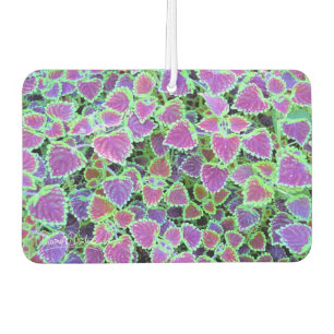 Trailing Burgundy Coleus Car Air Freshener