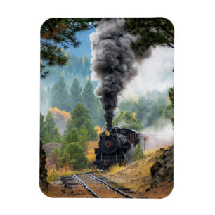 Train 19 magnet