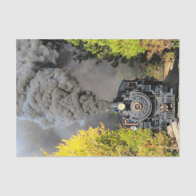 Train 19 tissue paper (Front)