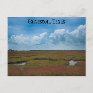 Train and Marshes in Galveston, Texas Postcard