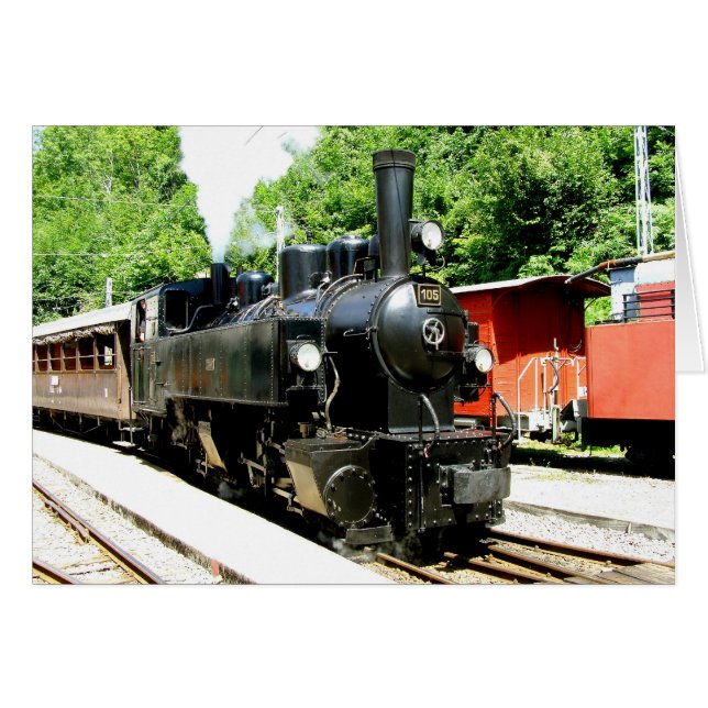 Train at Chamby railway museum (Front Horizontal)
