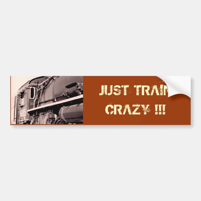 TRAIN CRAZY Bumper Sticker (Front)