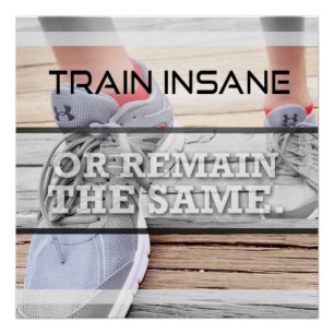 Train Insane Motivational Poster