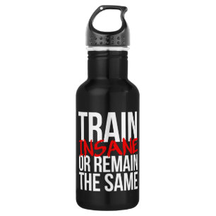 Train insane or remain the same 532 ml water bottle