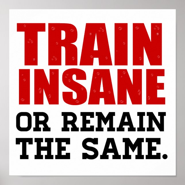 Train Insane or Remain the Same Poster (Front)