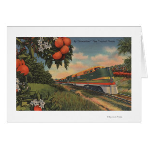 Train- Orange Blossom Special
