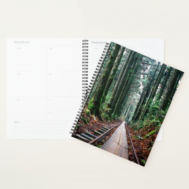 Train Tracks in the Forest Planner (Display)