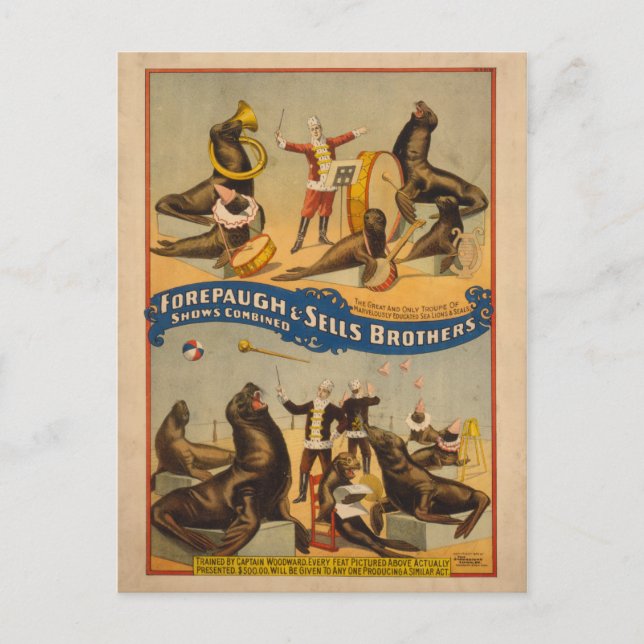 Trained Seals Circus Poster - Forepaugh & Sells Postcard (Front)