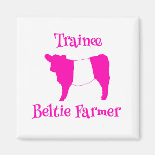 Trainee Beltie Farmer Pink Belted Galloway Cows Magnet