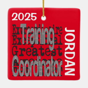 Training Coordinator Extraordinaire Ceramic Ornament