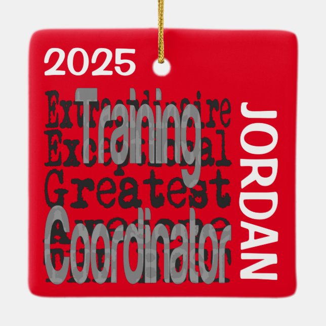 Training Coordinator Extraordinaire Ceramic Ornament (Back)