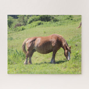 Trait Breton horse in a field Jigsaw Puzzle