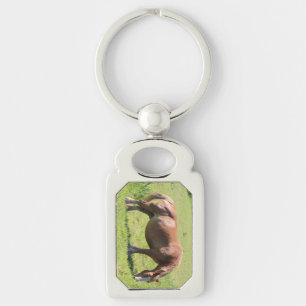 Trait Breton horse Key Ring