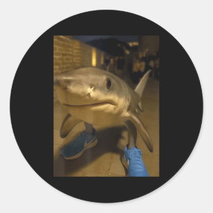 Tralalero tralala shark meme classic round sticker