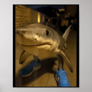 Tralalero tralala shark meme  poster