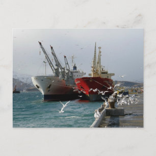 Trampers & Seagulls, Dutch Harbour, AK Postcard