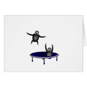 trampolining sloths