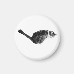 Tranquil Arc, Fuzzy Relief Magnet