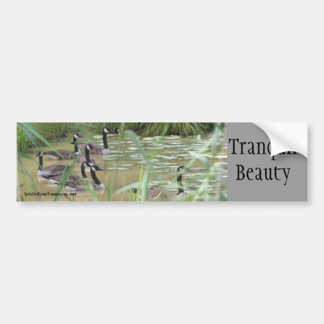 Tranquil Beauty Inspirational Bumper Sticker (Front)