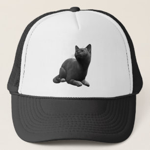 Tranquil Black Cat Hat