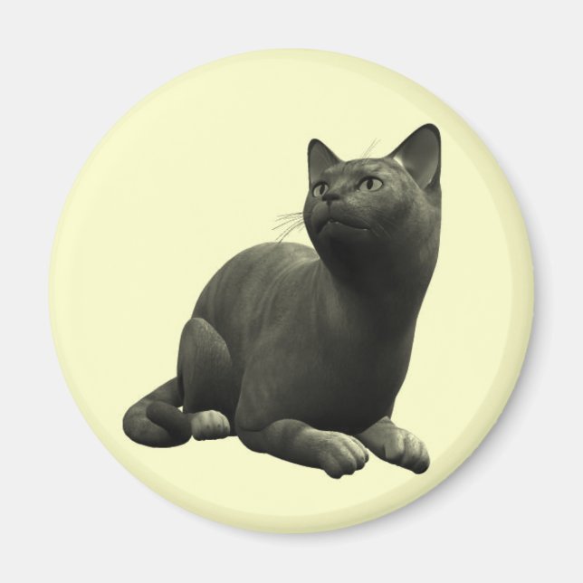Tranquil Black Cat Magnet (Front)