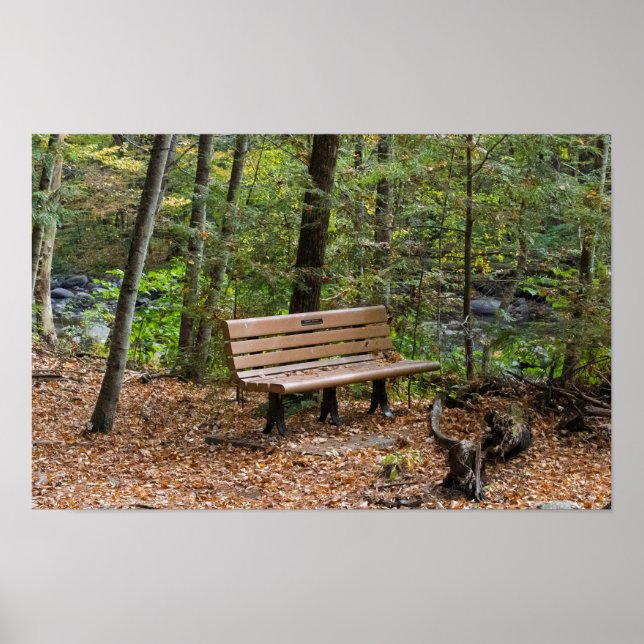 Tranquil Forest Bench in Autumn Poster (Front)