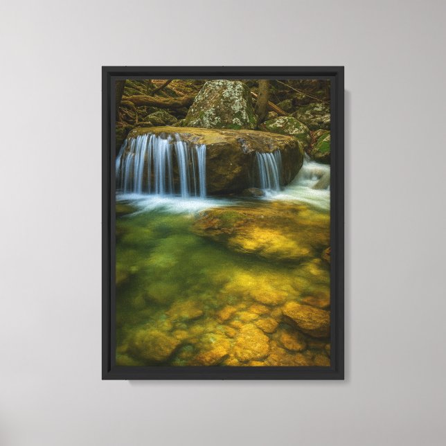 Tranquil Forest Stream Framed Canvas Art Print (Front)