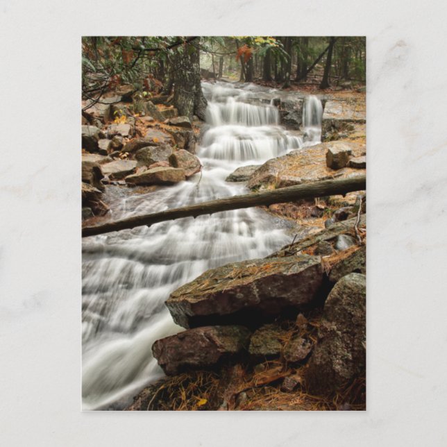 Tranquil Forest Waterfall Postcard (Front)