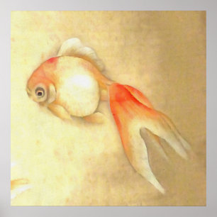 Tranquil Japanese Goldfish Poster