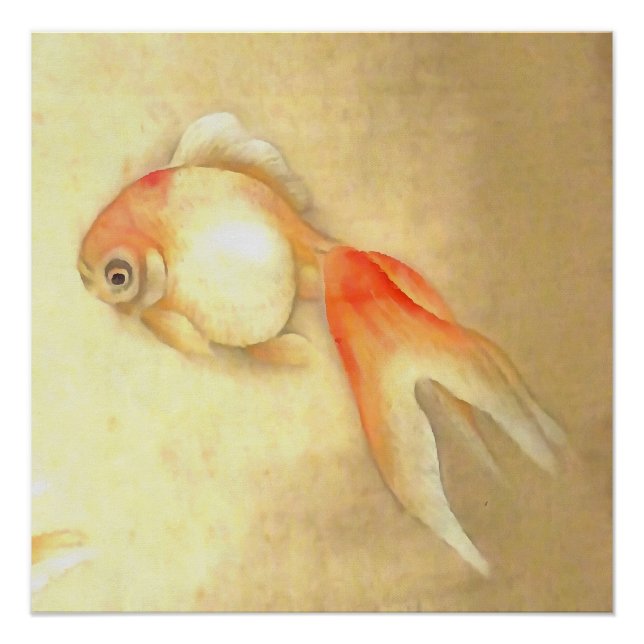 Tranquil Japanese Goldfish Poster (Front)