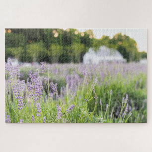 Tranquil Lavender Field Jigsaw Puzzle