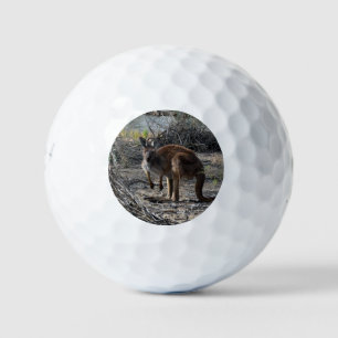 Tranquil Moment: Australian Kangaroo at Billabong Golf Balls