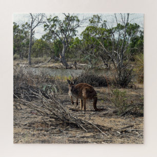 Tranquil Moment: Australian Kangaroo at Billabong Jigsaw Puzzle