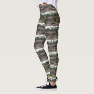Tranquil Moment: Australian Kangaroo at Billabong Leggings