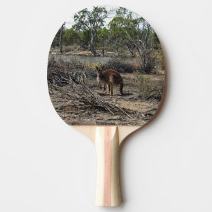 Tranquil Moment: Australian Kangaroo at Billabong Ping Pong Paddle