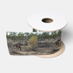Tranquil Moment: Australian Kangaroo at Billabong Satin Ribbon