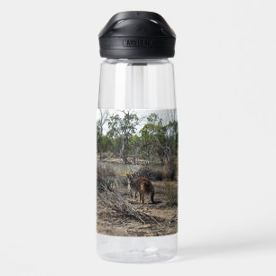 Tranquil Moment: Australian Kangaroo at Billabong Water Bottle