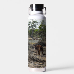 Tranquil Moment: Australian Kangaroo at Billabong Water Bottle