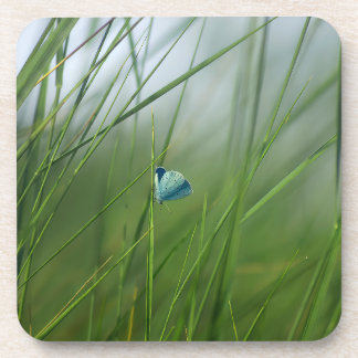 Tranquil Nature Scene Blue Butterfly Hard Plastic  Coaster