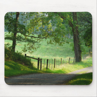 "Tranquil Path"-Country Lane Landscape Mouse Pad