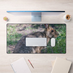Tranquil Rabbit Retreat: Nature's Peaceful Moment Desk Mat