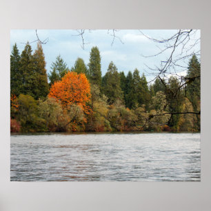 Tranquil River Poster