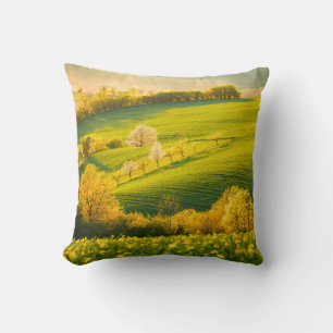 Tranquil rural landscape in sunbeams. Beautiful su Cushion