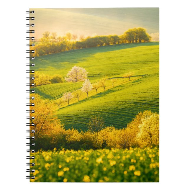Tranquil rural landscape in sunbeams. Beautiful su Notebook (Front)